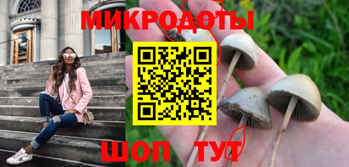 Псилоцибиновые грибы ЛСД  Вход с VPN  Кузнецк 
